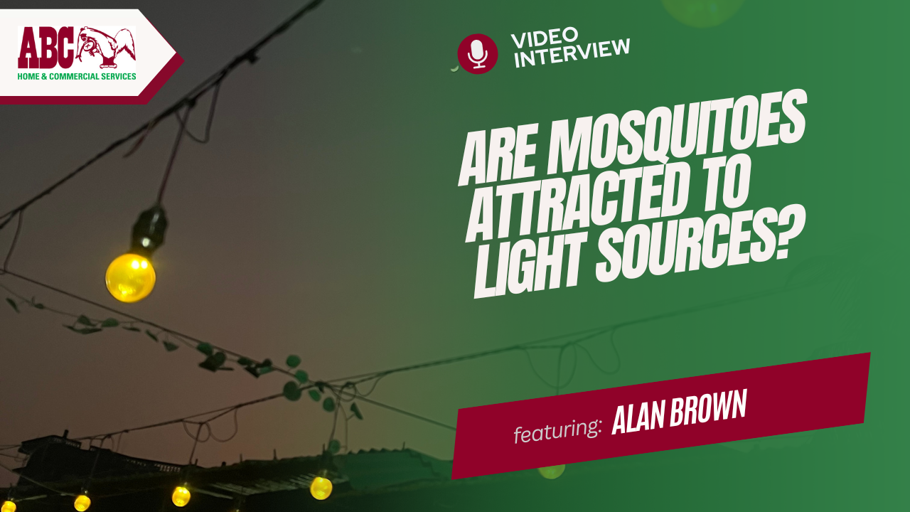 a thumbnail from the video