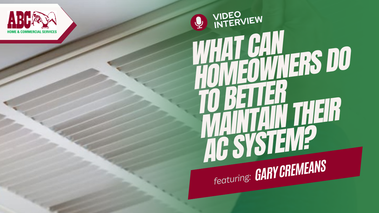 a thumbnail from the video in this blog