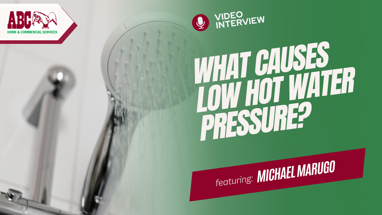 a thumbnail from the video in this blog
