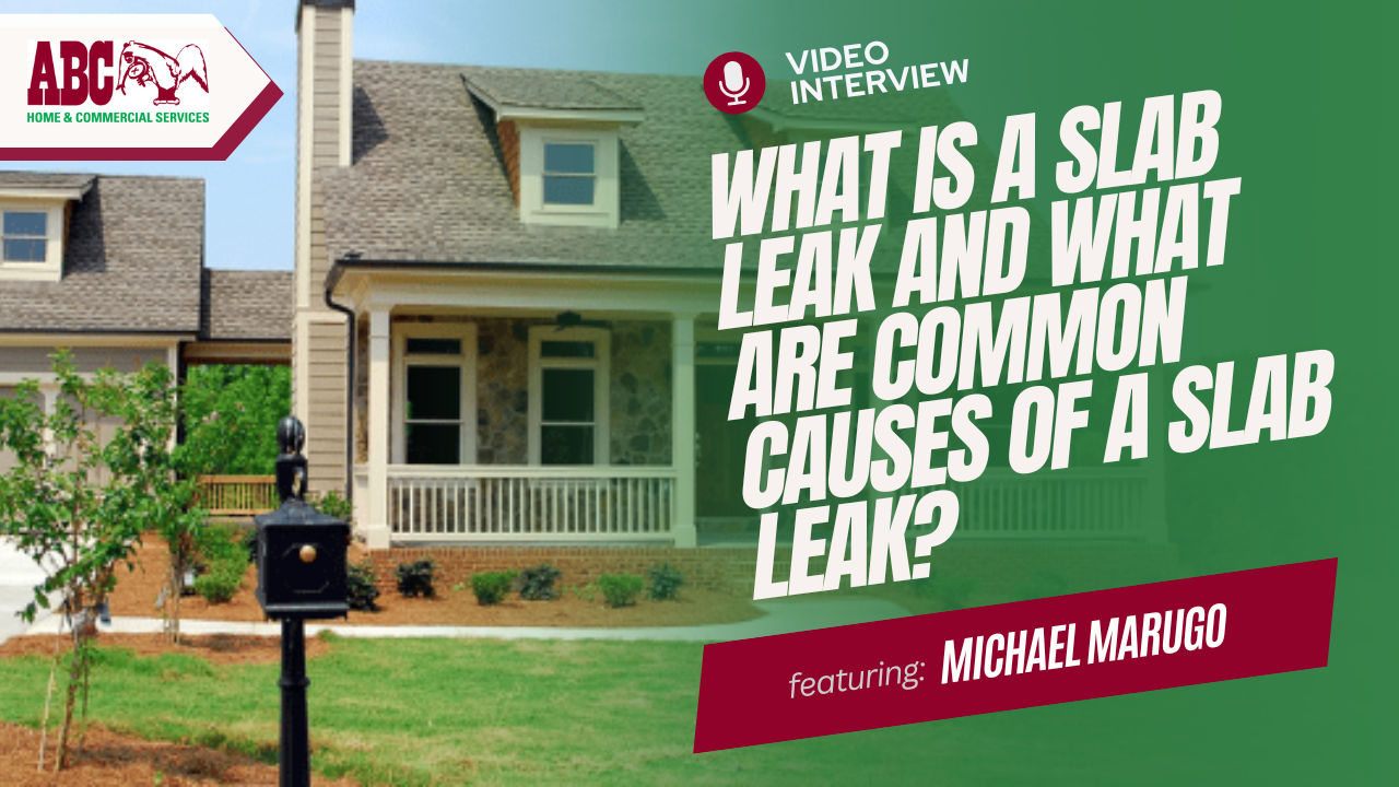 a thumbnail from a video in this blog